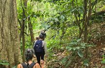Hike at Charco Prieto for Fairly Experienced Adventurers