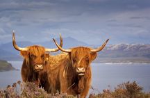 Aberdeen Shore Excursion - Private Tour