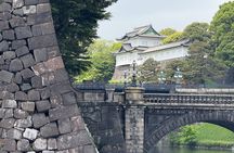 Imperial Palace Tokyo Station and Tsukiji Market Private Tour