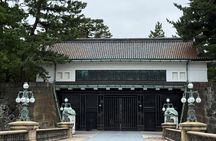 Imperial Palace Tokyo Station and Tsukiji Market Private Tour