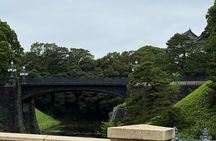 Imperial Palace Tokyo Station and Tsukiji Market Private Tour