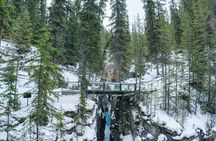 Hidden Frozen Gems of Yoho & Kootenay - Small Group Adventure