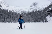 Hidden Frozen Gems of Yoho & Kootenay - Small Group Adventure