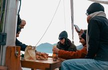 Shared Catamaran Sailing Tour on Lake Como with Snacks