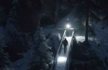 Johnston Canyon Night Walk and Stargazing Experience