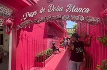 Panoramic Tour of the Reality of the Countryside and Village