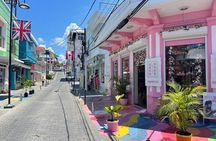 Panoramic Tour of the Reality of the Countryside and Village