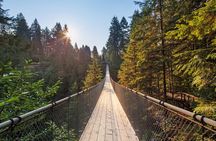 Vancouver North Shore Tour Capilano Bridge and Grouse Mountain