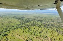 Private One-Way Charter Flight to Queen Elizabeth National Park