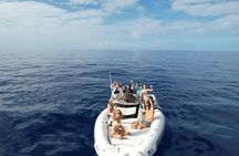 Kailua Kona Whale Watching Boat Tour Experience