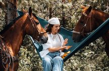 100-Year-Old family-run Finca: Horseback Riding & More