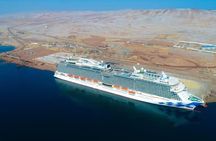 Tour to the Paracas National Reserve for Cruise Travelers