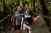 Mistico Arenal Hanging Bridges