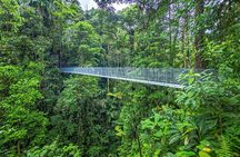 Mistico Arenal Hanging Bridges