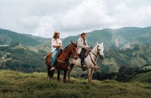 100-Year-Old family-run Finca: Horseback Riding & More