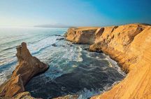 Scooter Tour of the Ballestas Islands and National Reserve