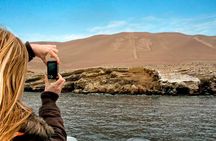 Adventure in Ballestas Islands and Quad bike in Paracas