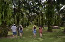 Quepos CR Chocolate and Spices Tour meals and transport included