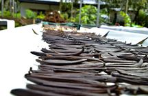 Quepos CR Chocolate and Spices Tour meals and transport included