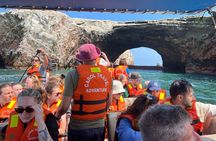 Ultimate Paracas Huacachina Adventure from Lima