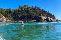 Magnetic Island Jet Ski Experience: The Top End in 2 Hours