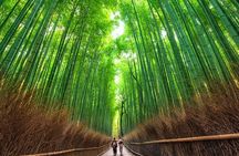 Osaka Kyoto: Nijo Castle, Nara, Arashiyama, Day Trip by Bus