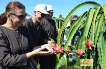 Dalat - Nha Trang Motorbike: Local Hidden Gems