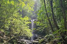 Avocat Waterfall and Maracas Bay, The Way Trinis Do It 