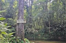 Avocat Waterfall and Maracas Bay, The Way Trinis Do It 