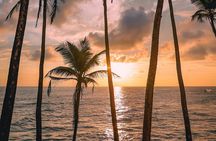 8 Day Tour to Sri Lanka Beach Bliss and Whale Watching