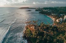 8 Day Tour to Sri Lanka Beach Bliss and Whale Watching