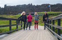 Private Dublin City Tour with Castles, Cathedrals & Culture