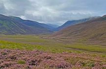 Into the Wild Scottish Highlands Walking Tour from Inverness