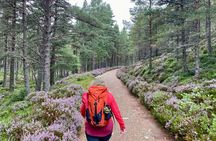 Scottish Highlands Walking Small Group Tour from Edinburgh
