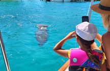 Jupiter Island Narrated Historic Private Boat Tour