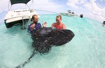 Half-Day Adventure Stingray City, Snorkeling, Starfish Point 