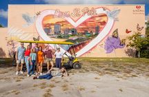 Guided St. Pete Sightseeing Tour in Deluxe Street Legal Golf Cart