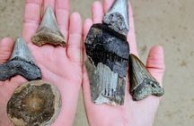 Shark Teeth and Fossil Island Adventure Boat Tour in Charleston