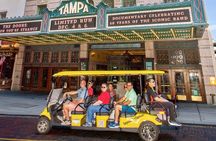 Guided Tampa Sightseeing Tour in a Deluxe Street Legal Golf Cart