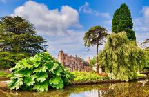 Cheddar Gorge and Glastonbury 1 Day Small Group Tour from Bath