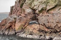 Adventure in Ballestas Islands and Quad bike in Paracas