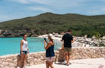 Curaçao Full-Day Tour: Hato Caves, Turtles, Kenepa & Flamingos