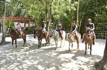 Best ATV Tour, Horseback Riding, Zip Lines, Cenote Swim, Tequila Tasting