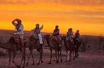Agafay Desert: Dinner Show with Sunset Camel Ride