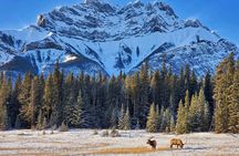 Banff Highlights & Wildlife | Award-Winning Small Group Adventure