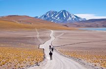 Full Day Tour in Piedras Rojas Atacama Includes Ticket