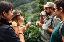 Big Island Epic Coffee Tour - ATV Ride Included 