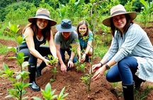 Big Island Epic Coffee Tour - ATV Ride Included 