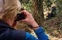 3 Days Uganda x2 Double Gorilla Trekking Safari From Kigali