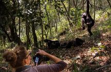 3 Days Uganda x2 Double Gorilla Trekking Safari From Kigali